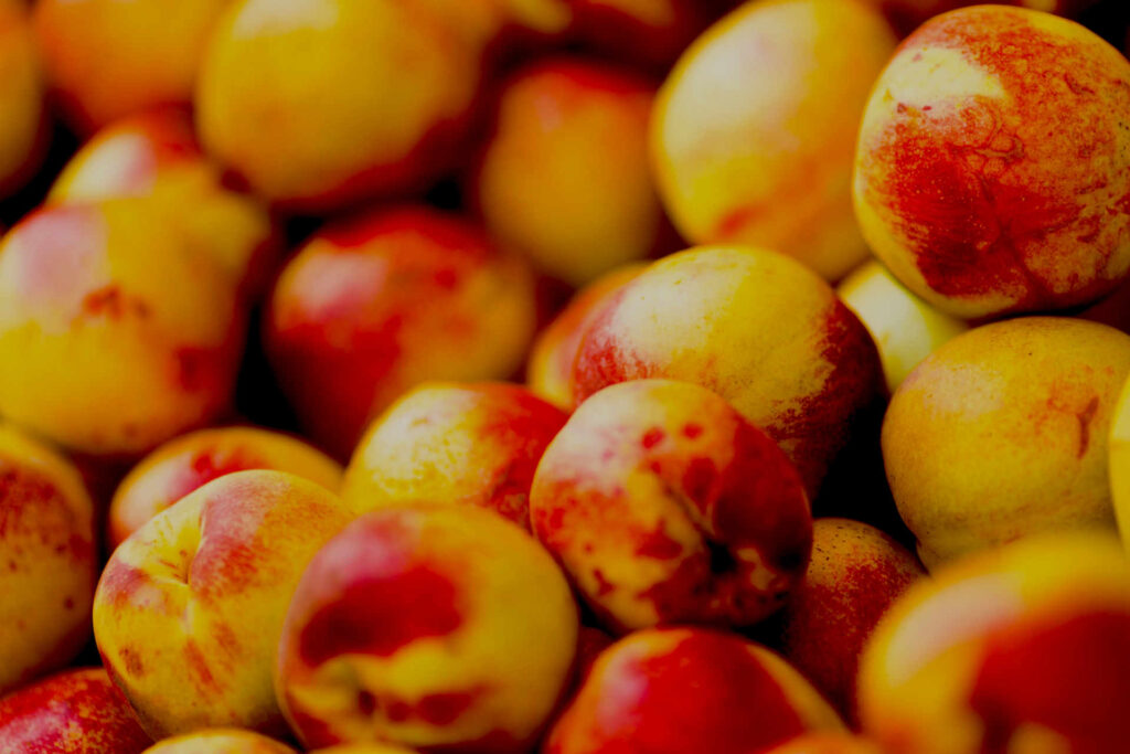 nectarines