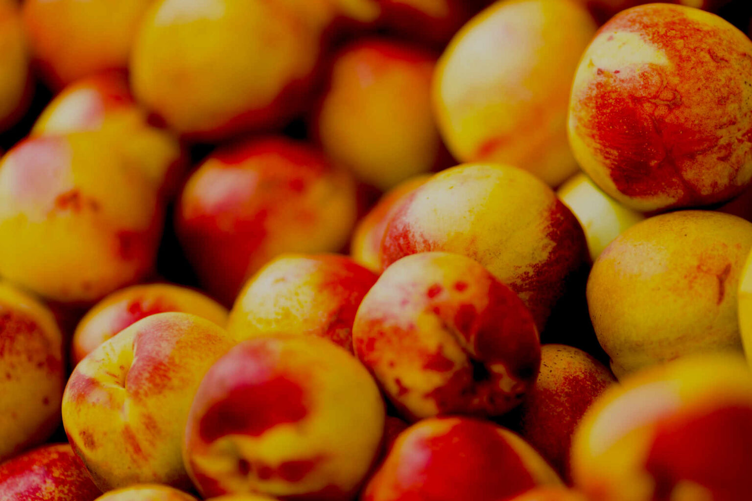 Chill Hour Requirements for Fruit Trees and Shrubs Orchard Culture