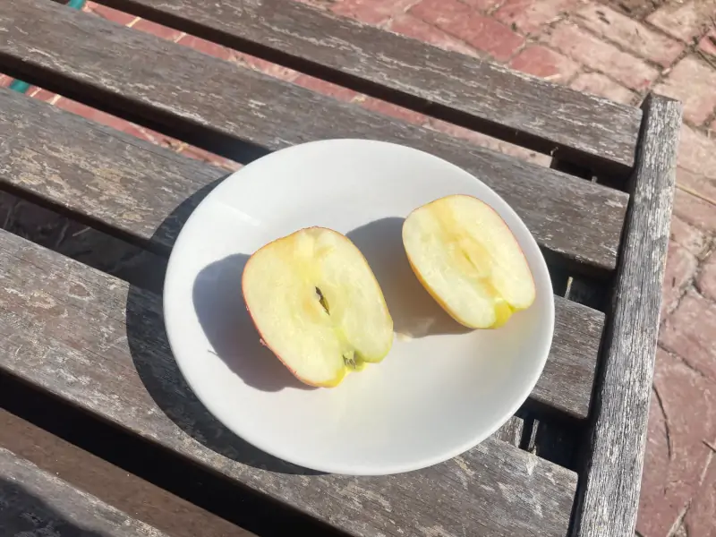 anna-apple-cut