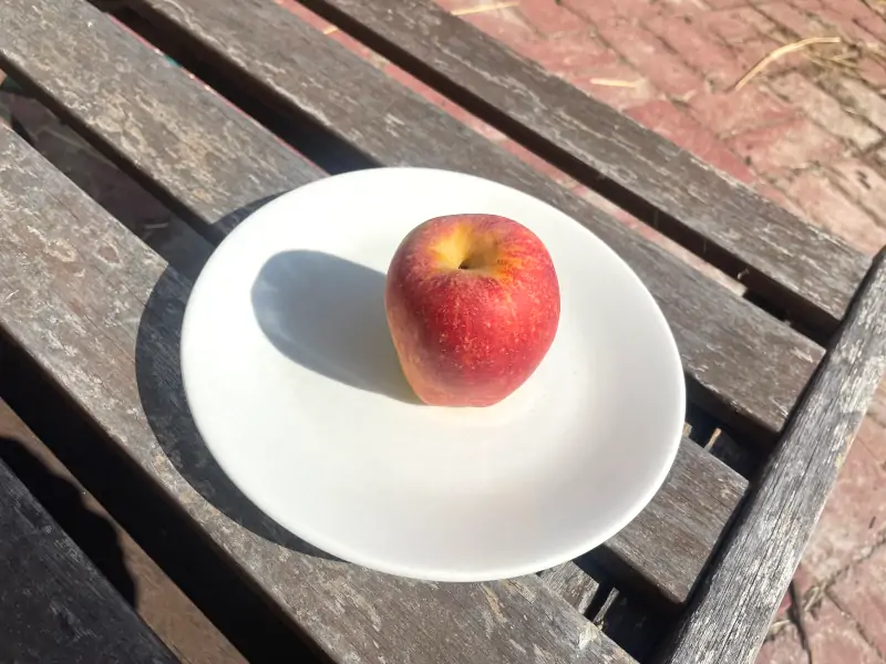 anna-apple-plate
