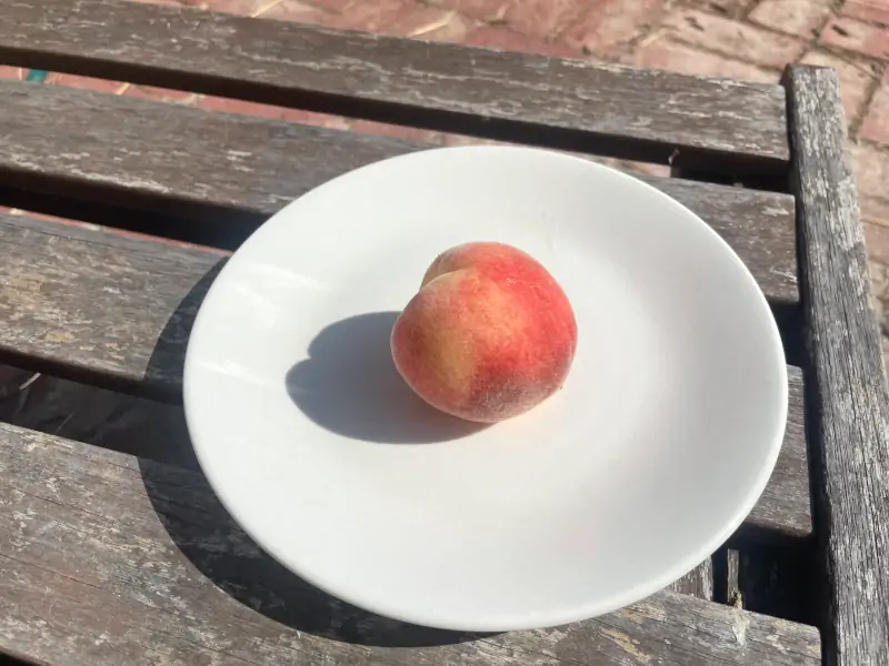 babcock-peach-on-plate