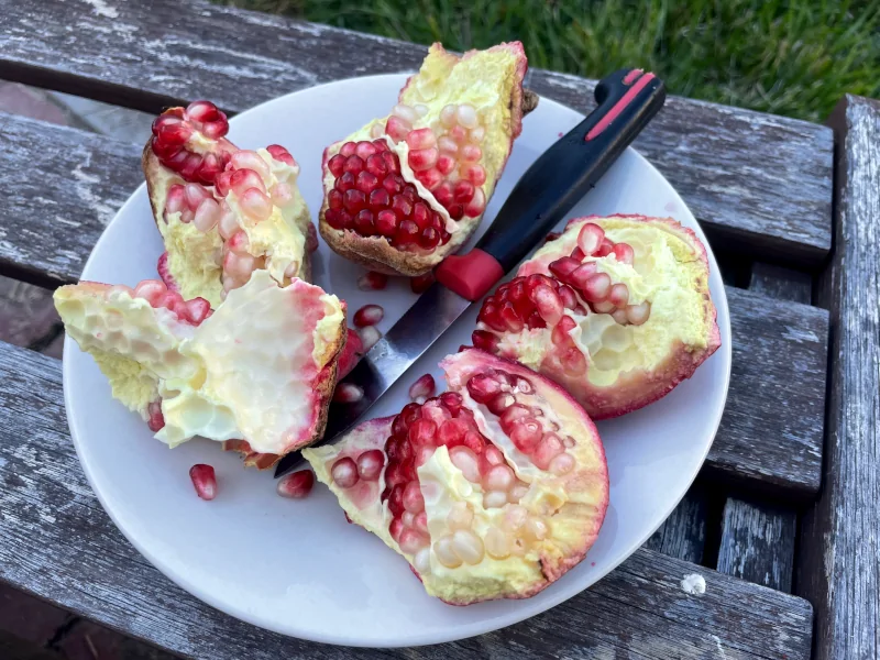 split-pomegranate-open
